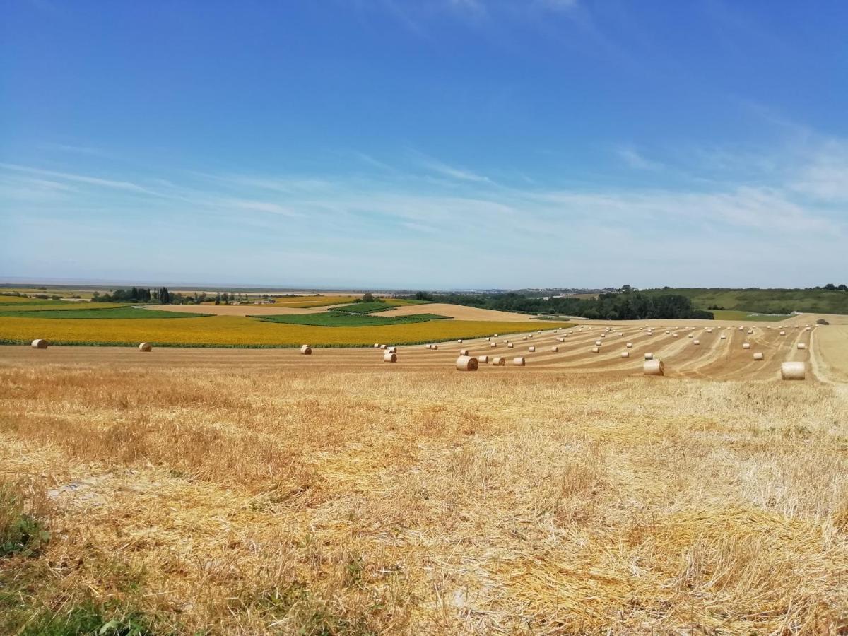 Chateau Des Salles Saint-Fort-sur-Gironde Екстериор снимка