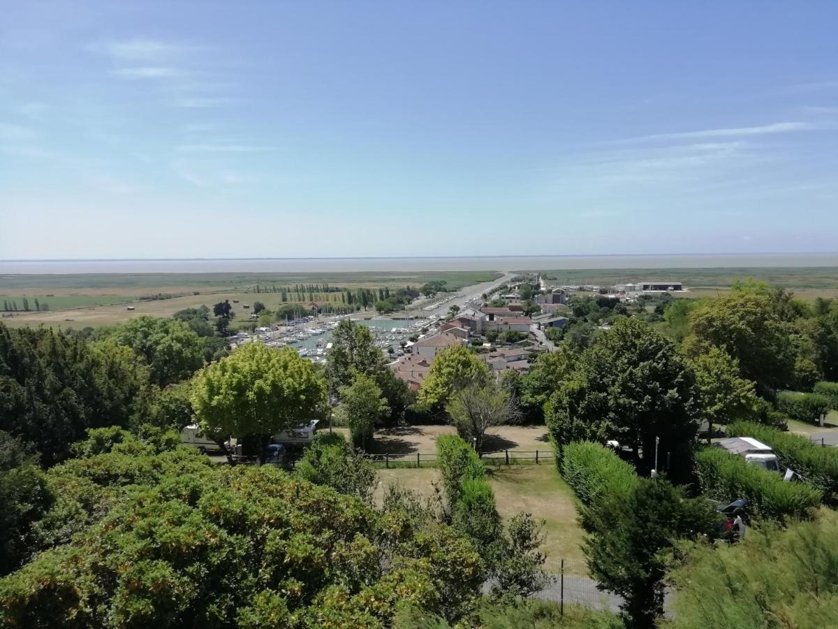 Chateau Des Salles Saint-Fort-sur-Gironde Екстериор снимка